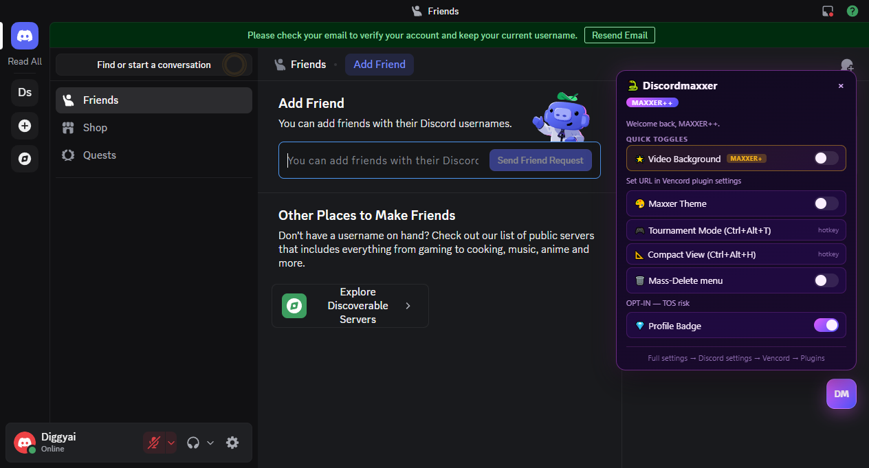 Discordmaxxer screenshot